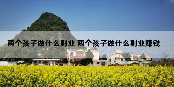 两个孩子做什么副业 两个孩子做什么副业赚钱